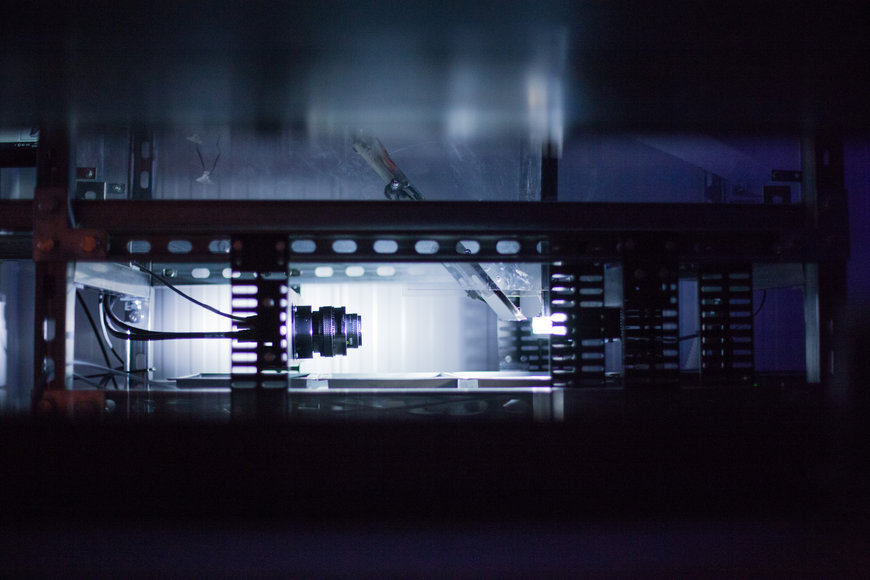 Bühler and Entocycle partner to deliver end-to-end technology solutions to insect farms